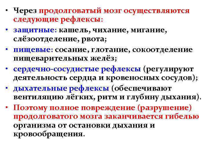  • Через продолговатый мозг осуществляются следующие рефлексы: • защитные: кашель, чихание, мигание, слёзоотделение,