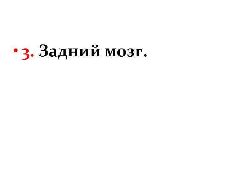  • 3. Задний мозг. 