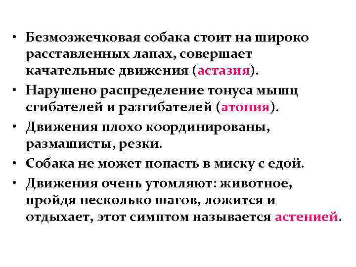  • Безмозжечковая собака стоит на широко расставленных лапах, совершает качательные движения (астазия). •
