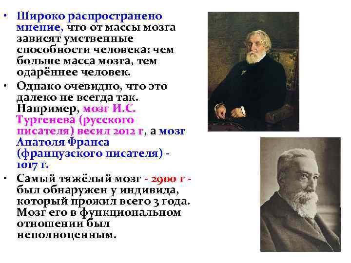  • Широко распространено мнение, что от массы мозга зависят умственные способности человека: чем