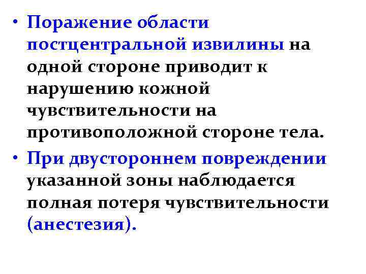  • Поражение области постцентральной извилины на одной стороне приводит к нарушению кожной чувствительности