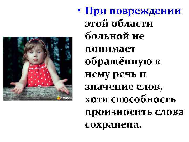  • При повреждении этой области больной не понимает обращённую к нему речь и