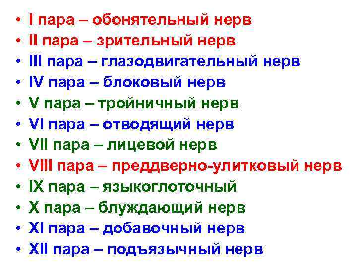  • • • I пара – обонятельный нерв II пара – зрительный нерв