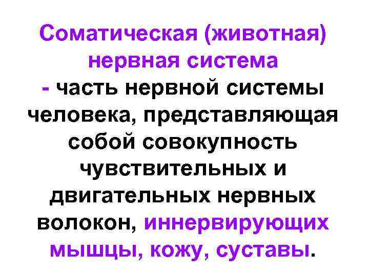 Соматическая (животная) нервная система - часть нервной системы человека, представляющая собой совокупность чувствительных и