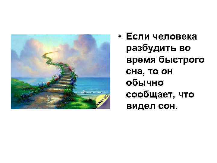  • Если человека разбудить во время быстрого сна, то он обычно сообщает, что