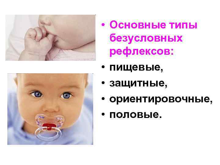  • Основные типы безусловных рефлексов: • пищевые, • защитные, • ориентировочные, • половые.