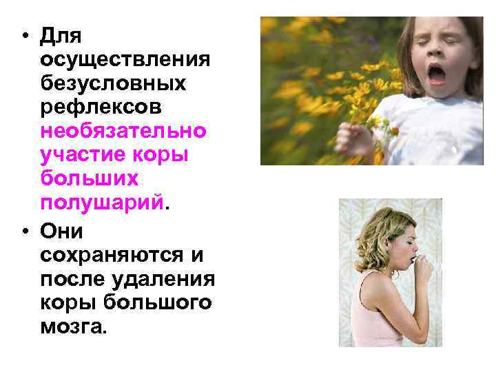  • Для осуществления безусловных рефлексов необязательно участие коры больших полушарий. • Они сохраняются