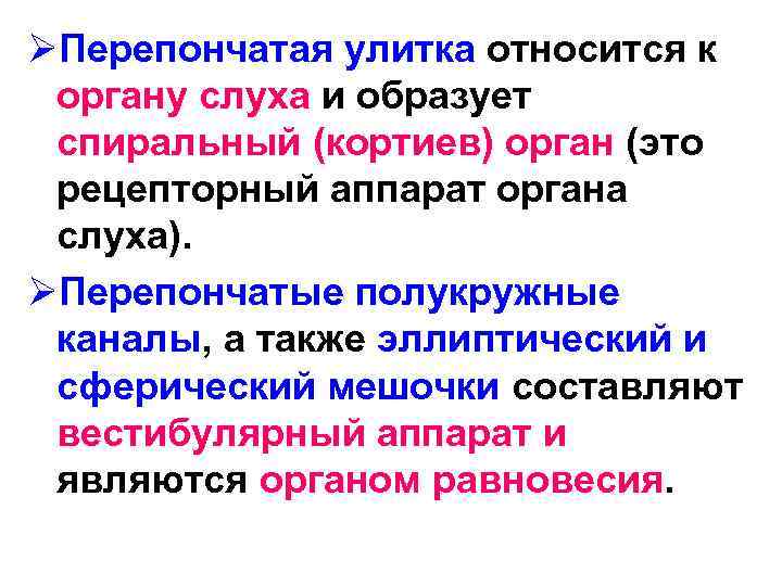 ØПерепончатая улитка относится к органу слуха и образует спиральный (кортиев) орган (это рецепторный аппарат