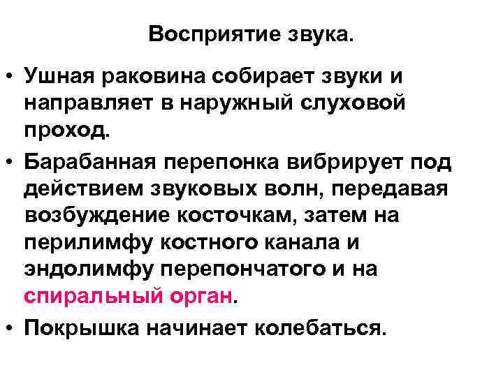 Восприятие звука. • Ушная раковина собирает звуки и направляет в наружный слуховой проход. •