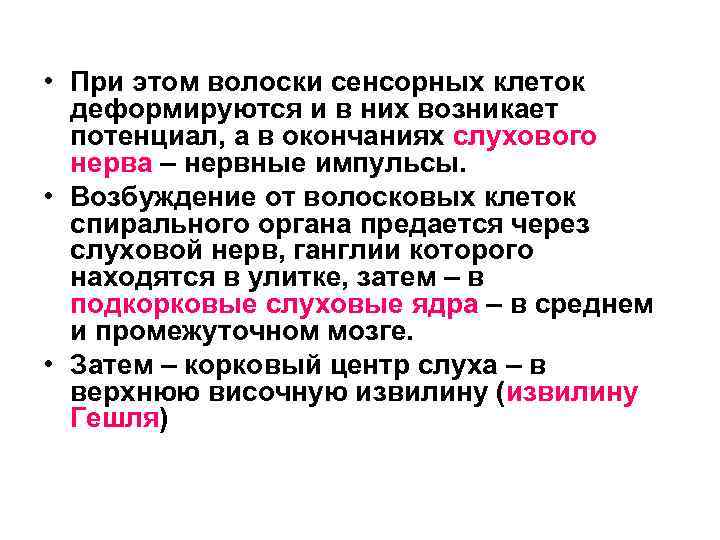  • При этом волоски сенсорных клеток деформируются и в них возникает потенциал, а
