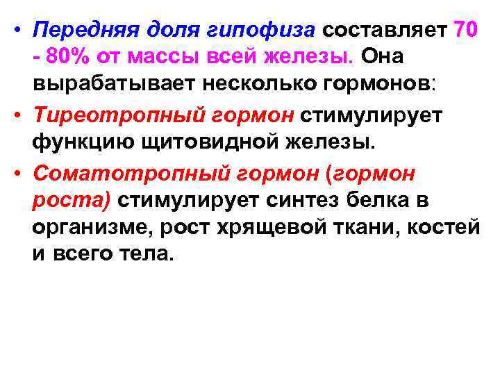  • Передняя доля гипофиза составляет 70 - 80% от массы всей железы. Она