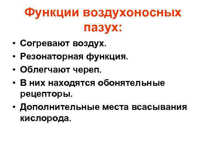 Функции воздухоносных пазух: • • Согревают воздух. Резонаторная функция. Облегчают череп. В них находятся