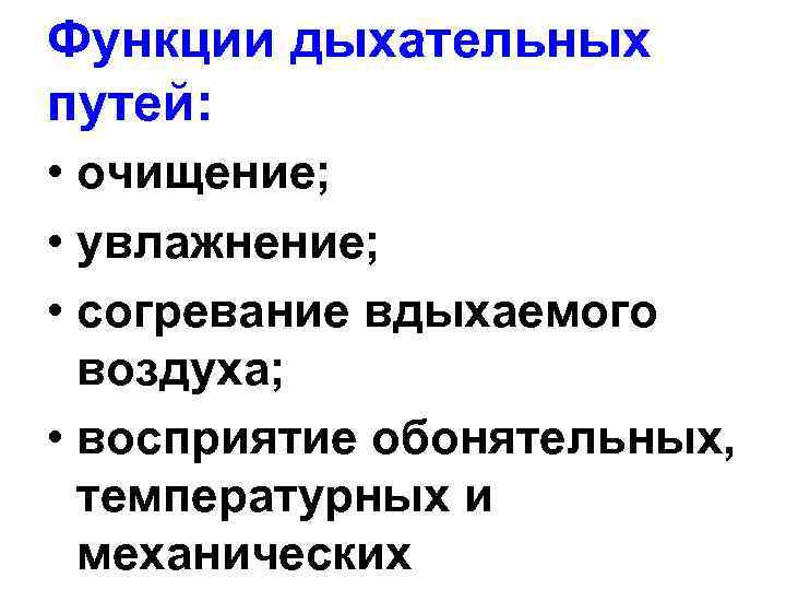 Функции дыхательных путей. Очищение, увлажнение и согревание вдыхаемого воздуха. Очищение воздуха в дыхательных путях. Согревание воздуха в дыхательных путях.