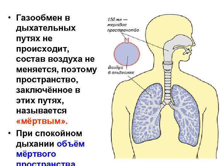 Что будет если в дыхательные пути попадет волос