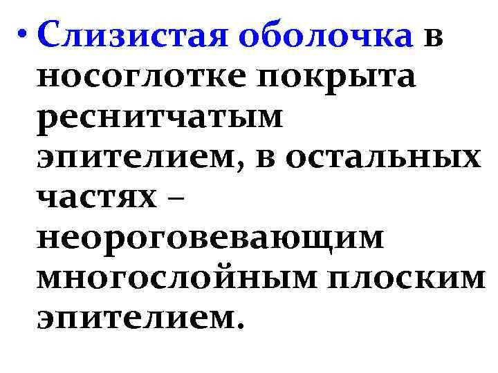  • Слизистая оболочка в носоглотке покрыта реснитчатым эпителием, в остальных частях – неороговевающим