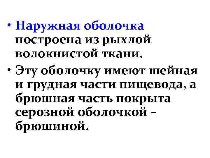  • Наружная оболочка построена из рыхлой волокнистой ткани. • Эту оболочку имеют шейная