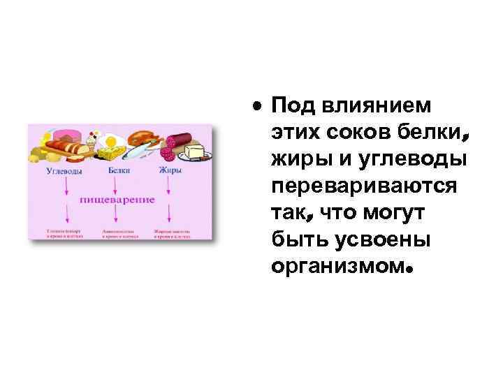  • Под влиянием этих соков белки, жиры и углеводы перевариваются так, что могут