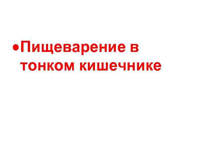  • Пищеварение в тонком кишечнике 