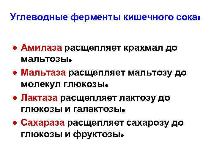 Углеводные ферменты кишечного сока: • Амилаза расщепляет крахмал до мальтозы. • Мальтаза расщепляет мальтозу