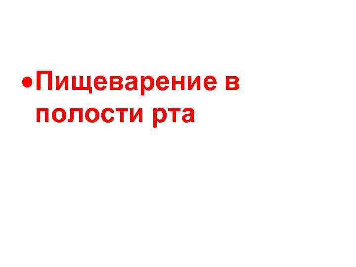  • Пищеварение в полости рта 