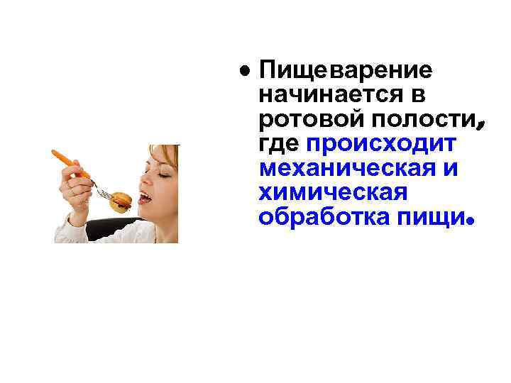  • Пищеварение начинается в ротовой полости, где происходит механическая и химическая обработка пищи.