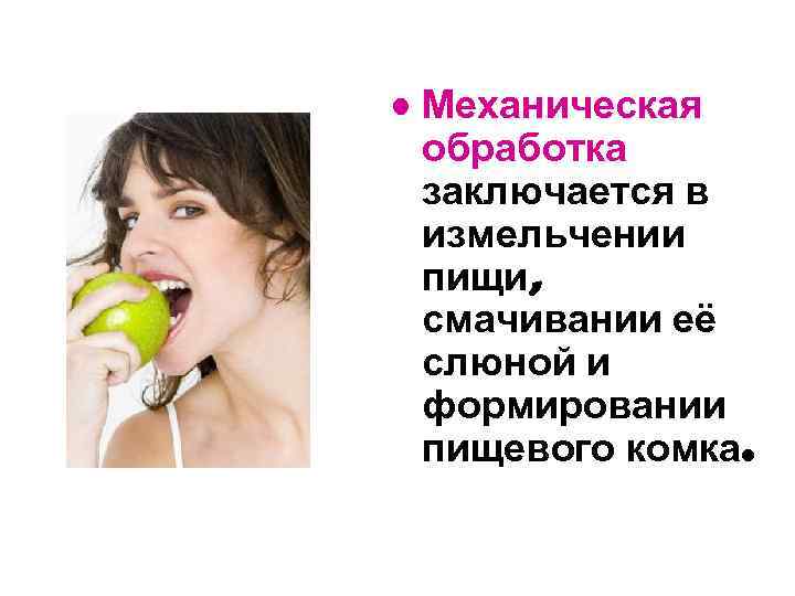 • Механическая обработка заключается в измельчении пищи, смачивании её слюной и формировании пищевого