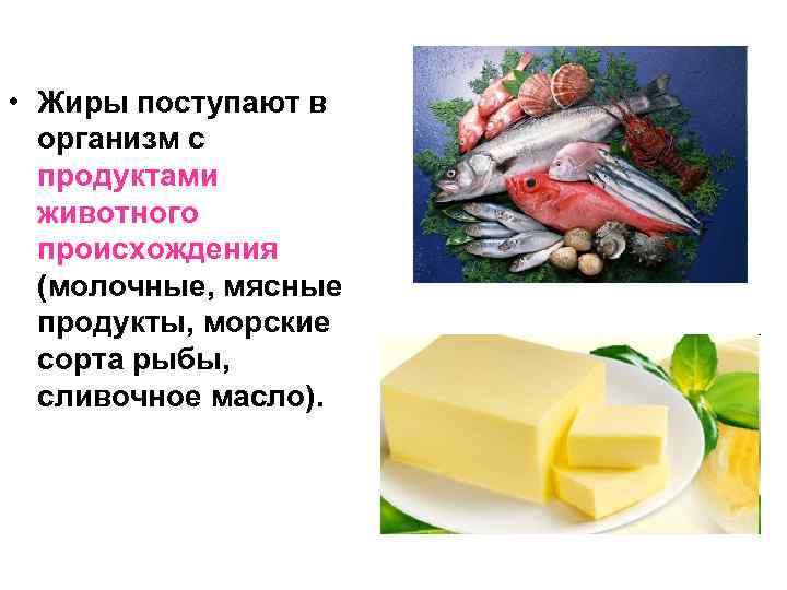  • Жиры поступают в организм с продуктами животного происхождения (молочные, мясные продукты, морские