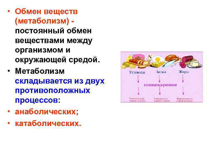  • Обмен веществ (метаболизм) постоянный обмен веществами между организмом и окружающей средой. •