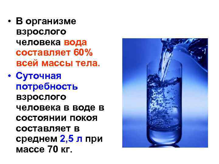  • В организме взрослого человека вода составляет 60% всей массы тела. • Суточная