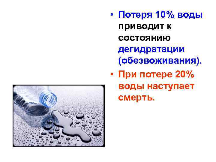  • Потеря 10% воды приводит к состоянию дегидратации (обезвоживания). • При потере 20%