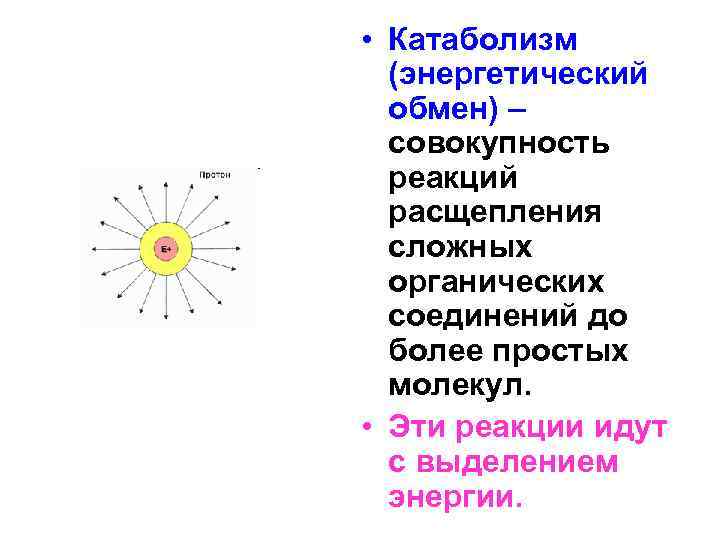  • Катаболизм (энергетический обмен) – совокупность реакций расщепления сложных органических соединений до более