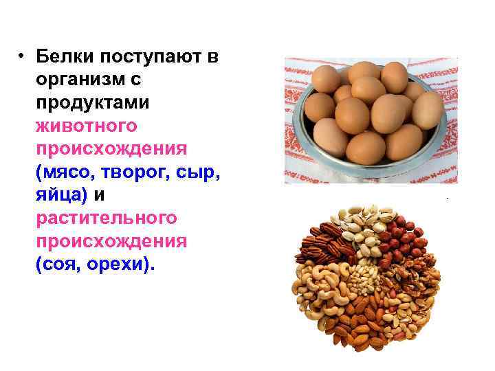  • Белки поступают в организм с продуктами животного происхождения (мясо, творог, сыр, яйца)