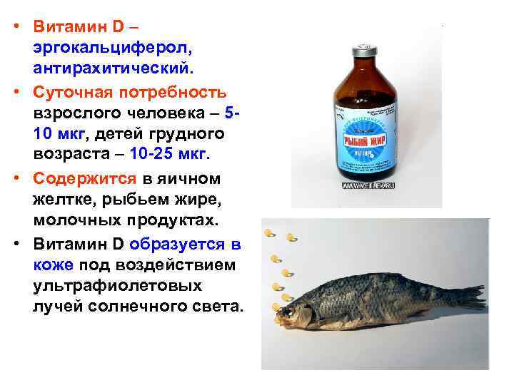  • Витамин D – эргокальциферол, антирахитический. • Суточная потребность взрослого человека – 510