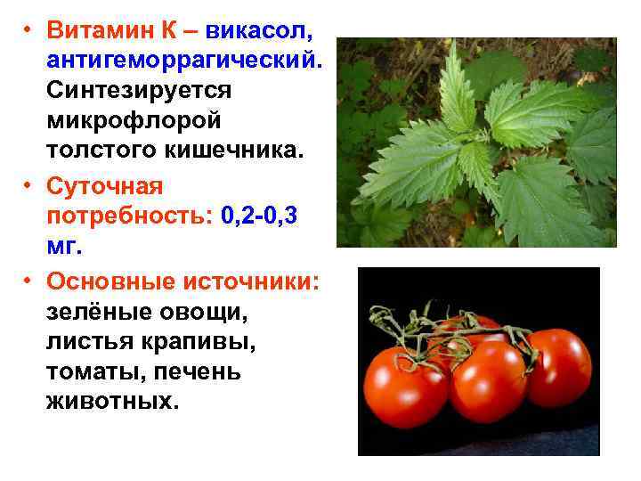  • Витамин К – викасол, антигеморрагический. Синтезируется микрофлорой толстого кишечника. • Суточная потребность: