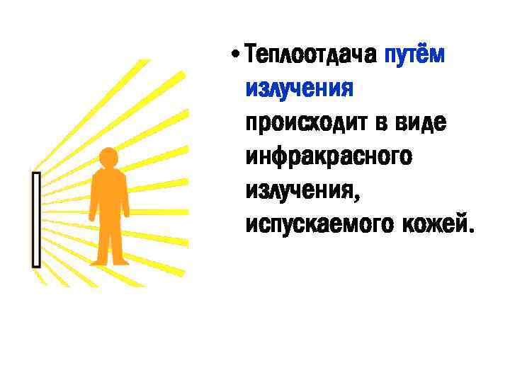  • Теплоотдача путём излучения происходит в виде инфракрасного излучения, испускаемого кожей. 