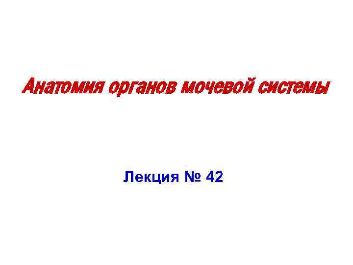 Анатомия органов мочевой системы Лекция № 42 
