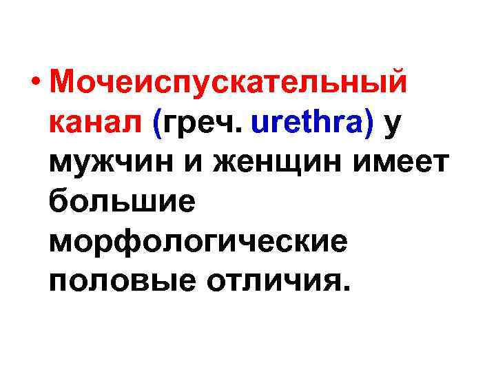  • Мочеиспускательный канал (греч. urethra) у мужчин и женщин имеет большие морфологические половые