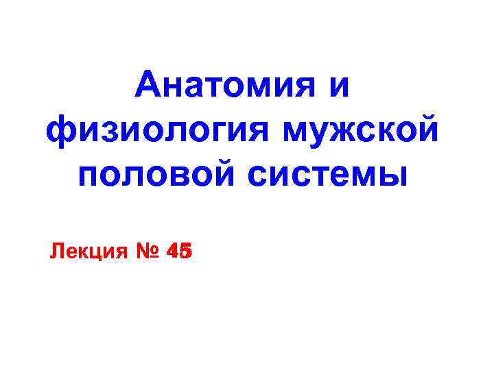 Анатомия и физиология мужской половой системы Лекция № 45 