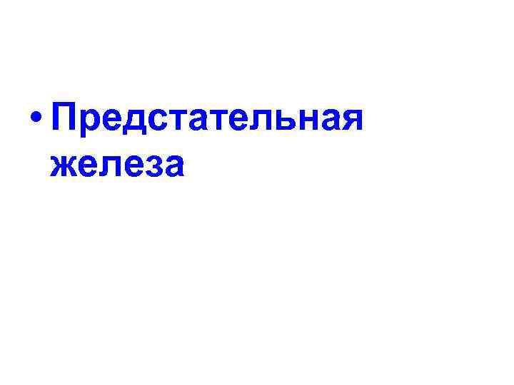  • Предстательная железа 
