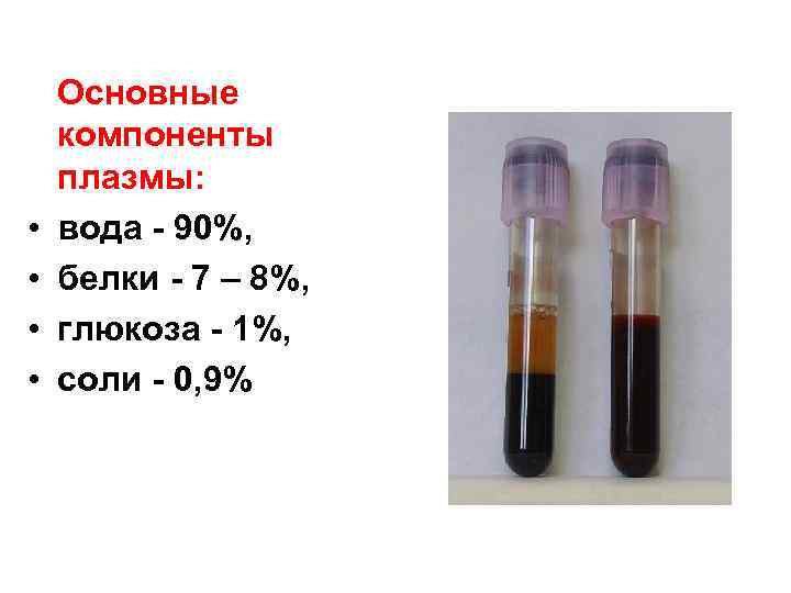  • • Основные компоненты плазмы: вода - 90%, белки - 7 – 8%,