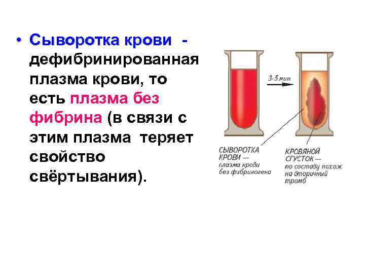  • Сыворотка крови дефибринированная плазма крови, то есть плазма без фибрина (в связи