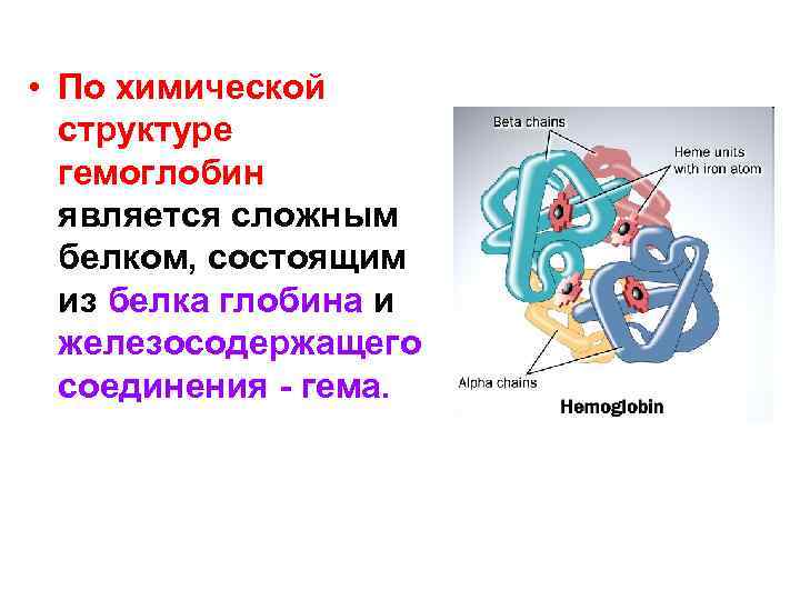  • По химической структуре гемоглобин является сложным белком, состоящим из белка глобина и