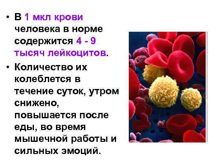  • В 1 мкл крови человека в норме содержится 4 - 9 тысяч