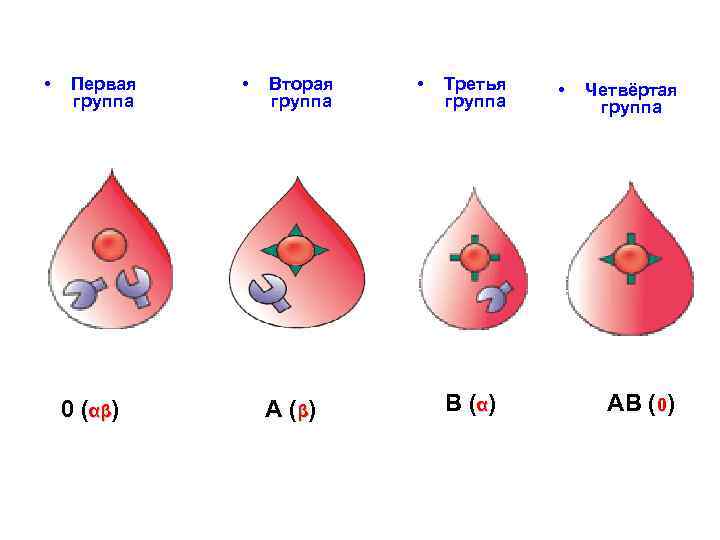  • Первая группа 0 (αβ) • Вторая группа А ( β) • Третья
