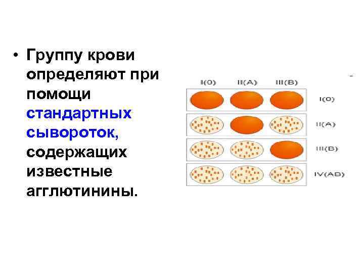  • Группу крови определяют при помощи стандартных сывороток, содержащих известные агглютинины. 