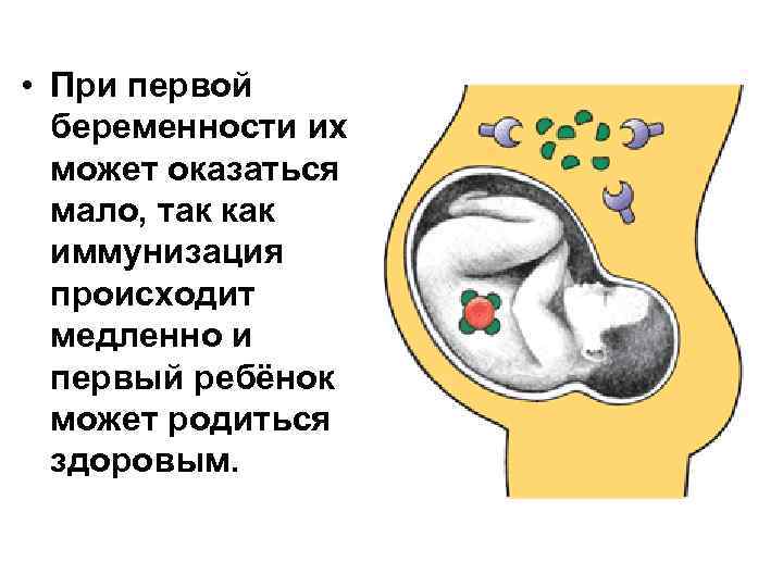  • При первой беременности их может оказаться мало, так как иммунизация происходит медленно