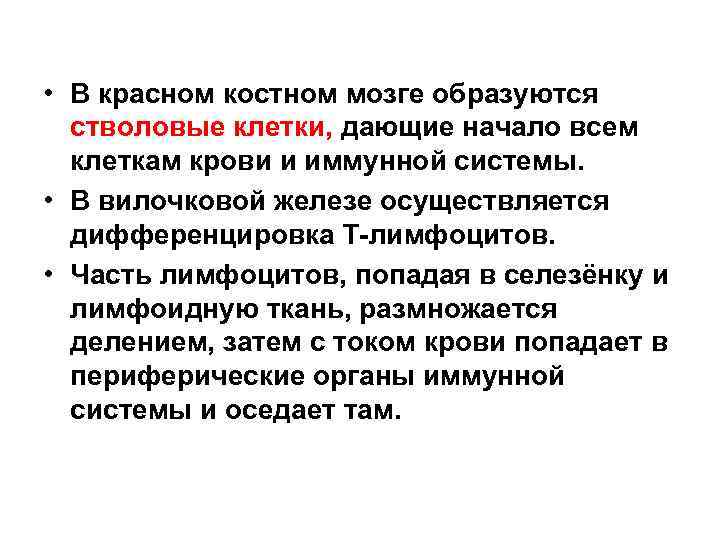  • В красном костном мозге образуются стволовые клетки, дающие начало всем клеткам крови