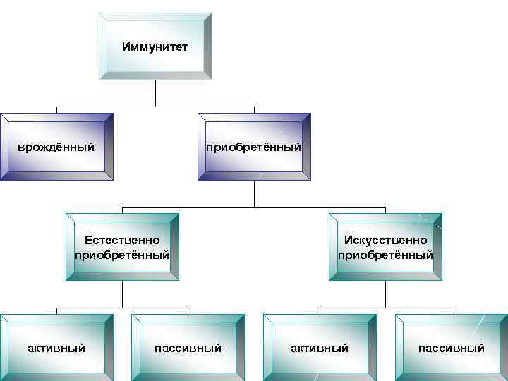 Иммунитет врождённый приобретённый Естественно приобретённый активный пассивный Искусственно приобретённый активный пассивный 