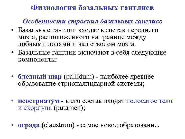 Физиология базальных ганглиев Особенности строения базальных ганглиев • Базальные ганглии входят в состав переднего