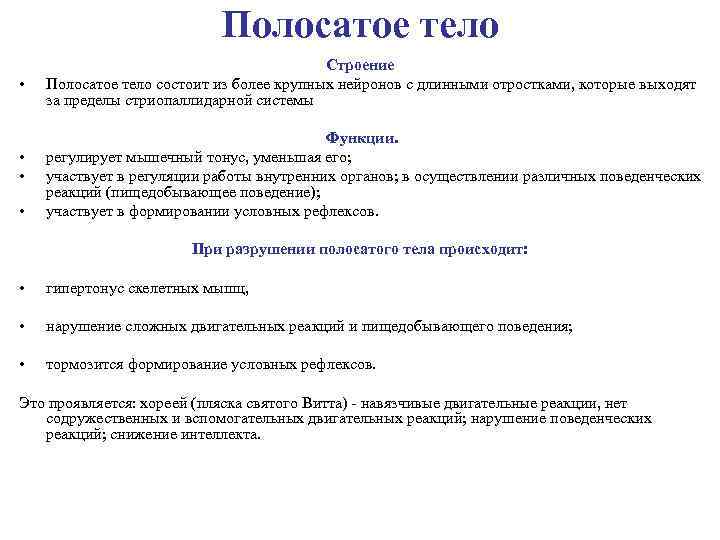 Полосатое тело • Строение Полосатое тело состоит из более крупных нейронов с длинными отростками,